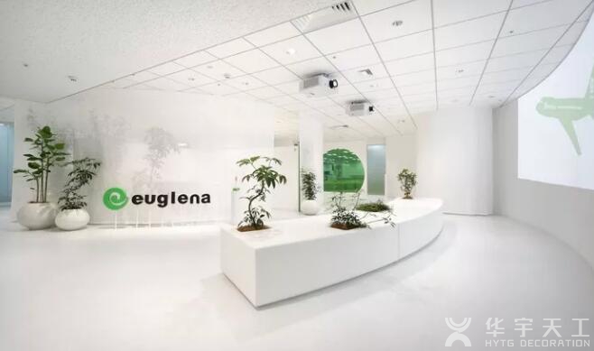这家公司竟把绿融入到办公室装修